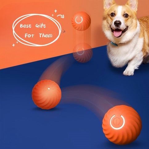 Durable Rubber Ball Toys for Dogs – Bouncy, Teeth Cleaning, Multiple Colour Sets