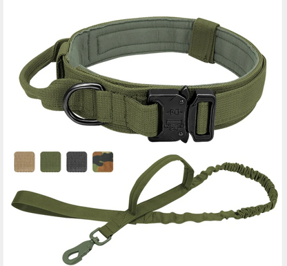 Tactical Dog Collar – 600D Military-Grade, Sizes M/L/XL, 4 Colours, Set Options